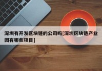 深圳有开发区块链的公司吗[深圳区块链产业园有哪些项目]